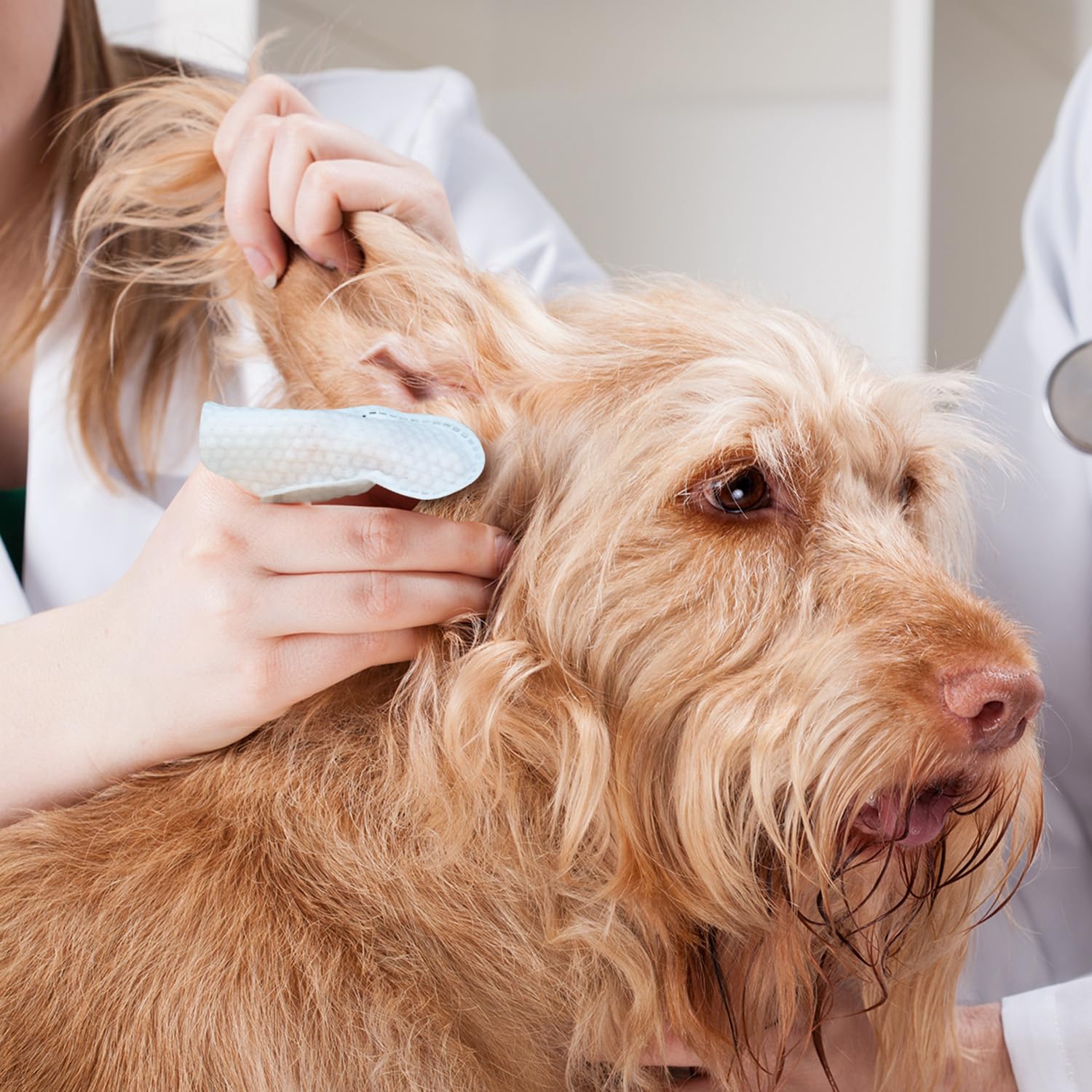 Vexalrion Dog Ear Cleaner Wipes